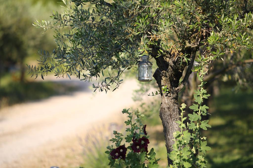 Bed and Breakfast Le Mas En Provence Entrechaux Exteriér fotografie